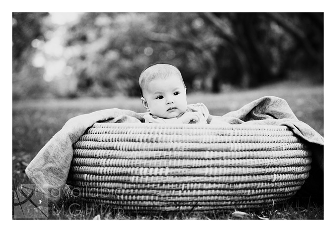 auckland family photographer