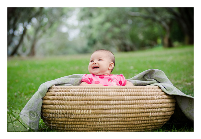 auckland family photographer