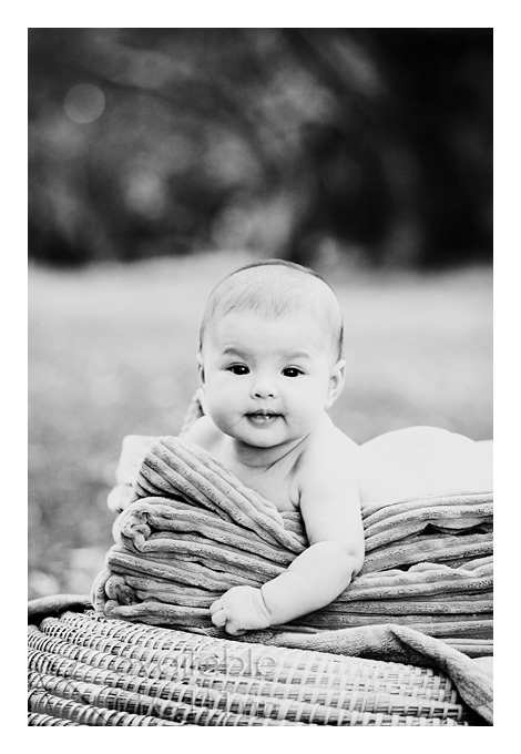 auckland family photographer