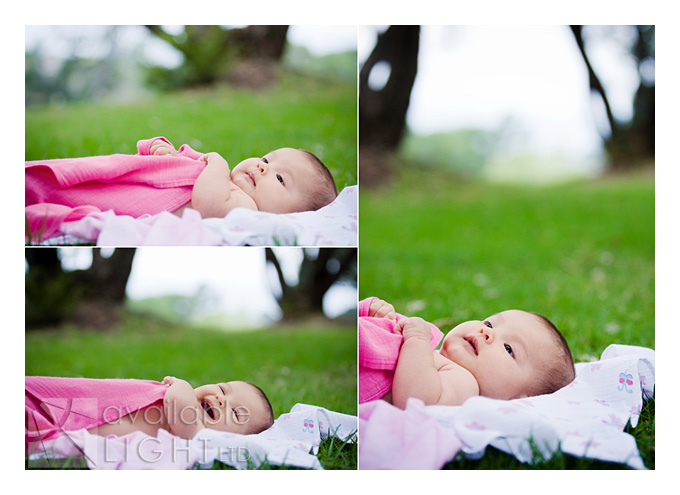 auckland family photographer