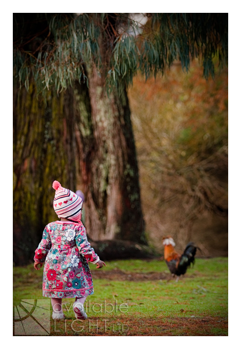 auckland family child photographer