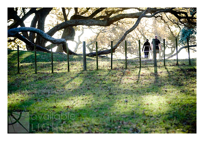 auckland family photographer