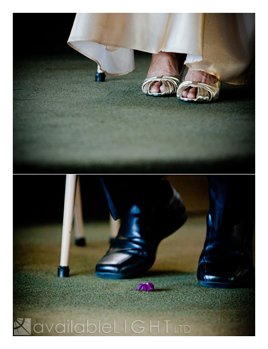 auckland family portraits