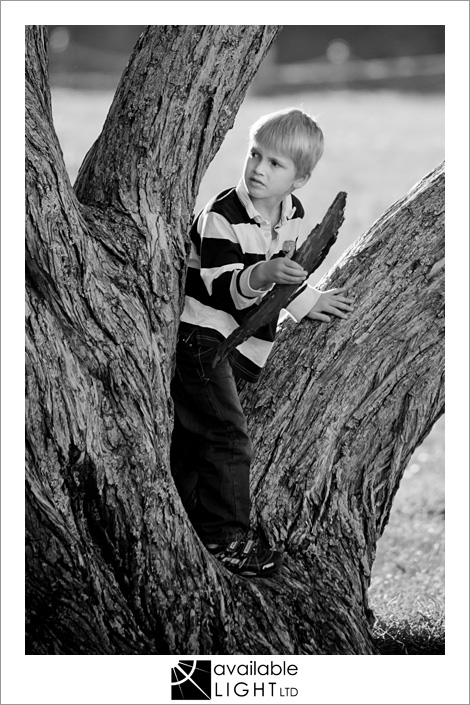 auckland child family photographer