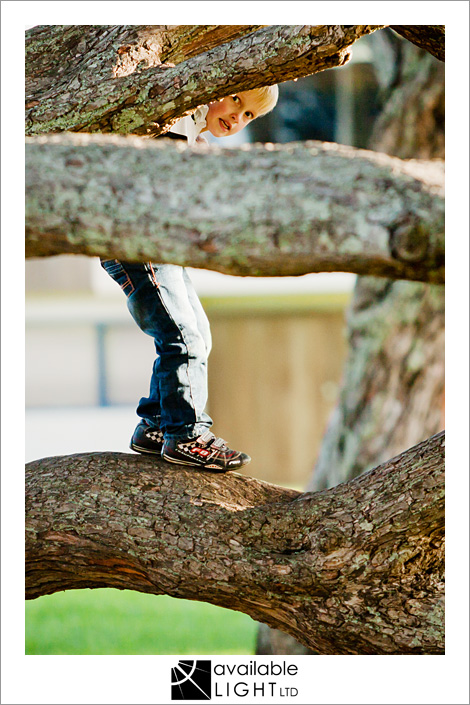 auckland child family photographer