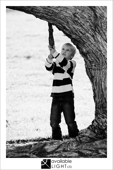 auckland child family photographer