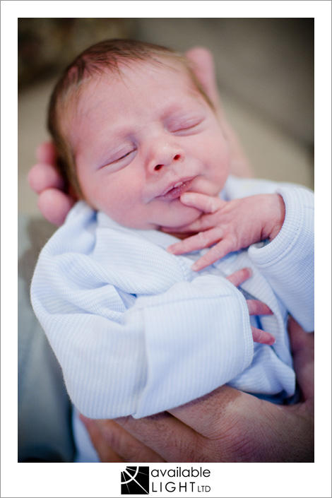auckland newborn baby photographer