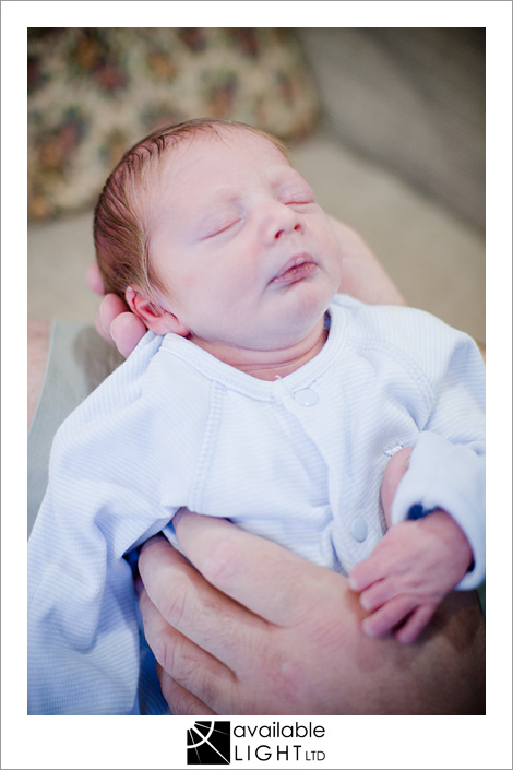 auckland newborn baby photographer