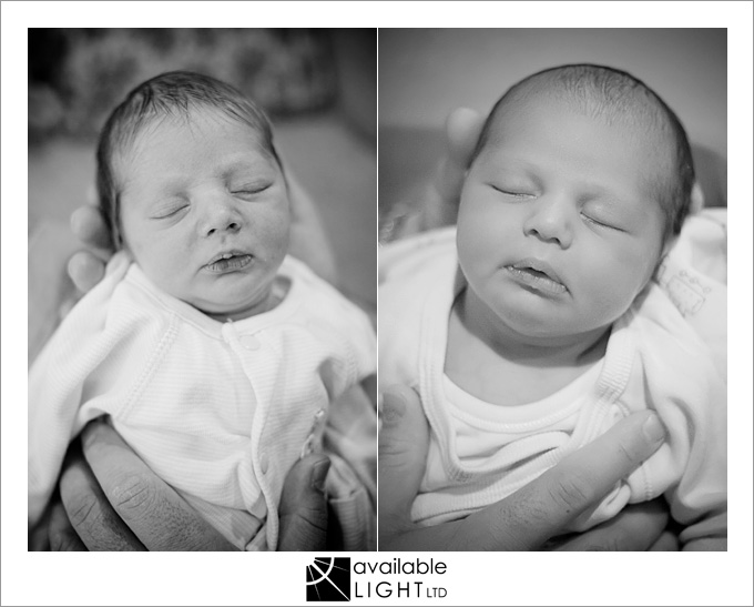 auckland newborn baby photographer