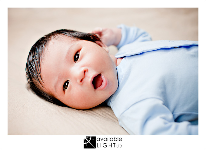 auckland family photographer