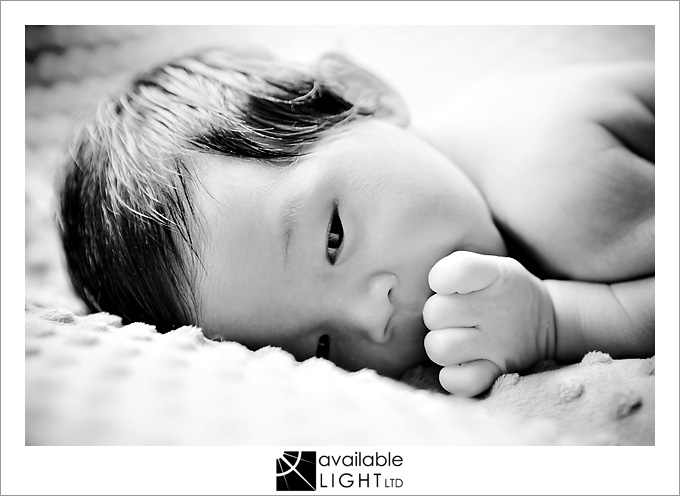 auckland family photographer