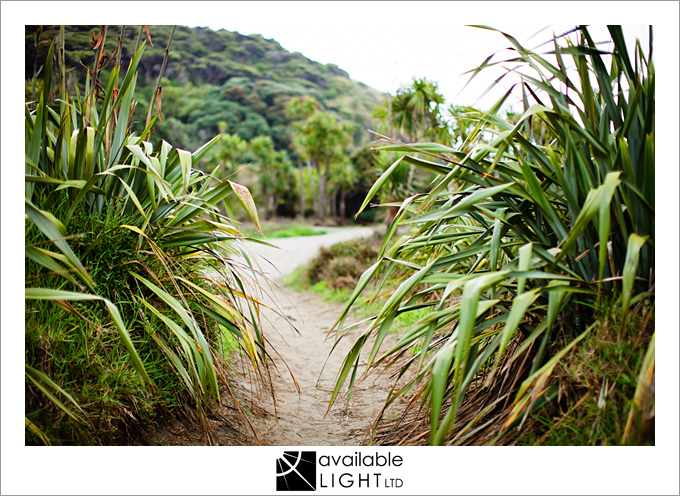 auckland lifestyle photographer