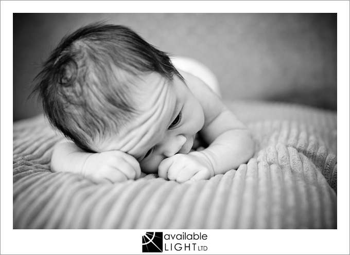 auckland newborn photographer
