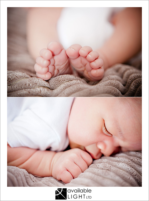 auckland newborn photographer