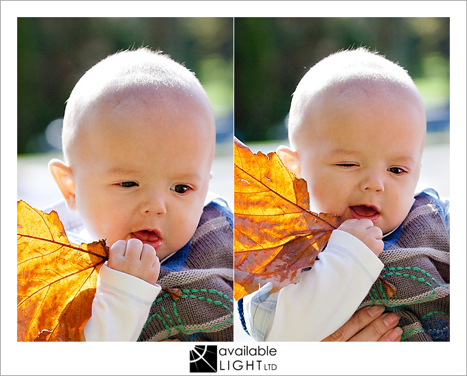 auckland baby photographer