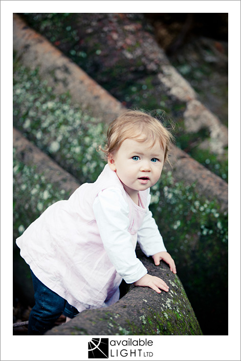 auckland family photographer