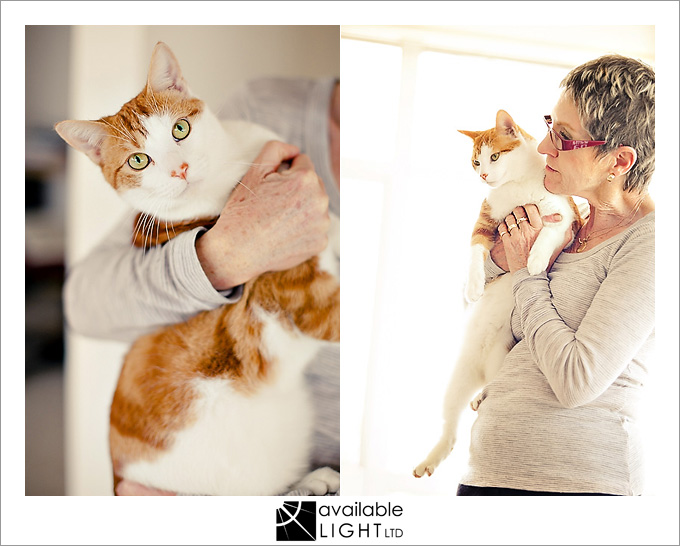 auckland pet photographer