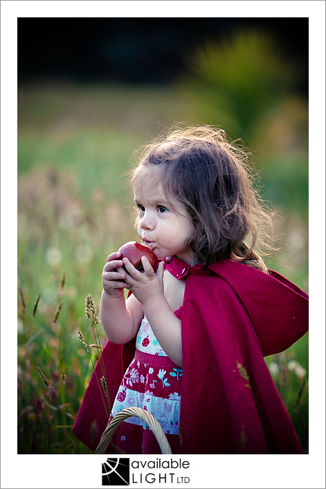 auckland kids photographer