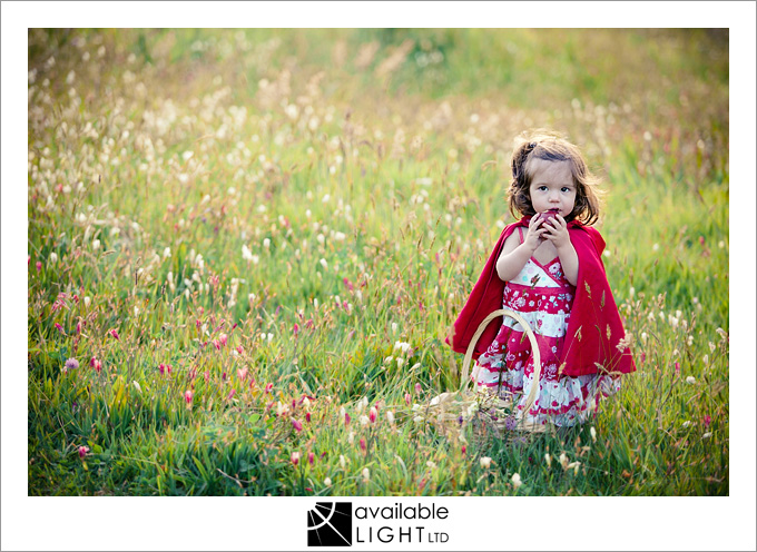 auckland kids photographer