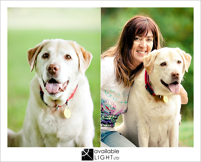 auckland pet photographer