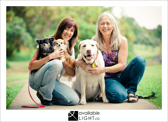 auckland pet photographer