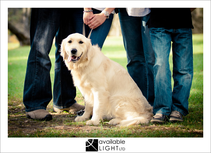 auckland pet photographer