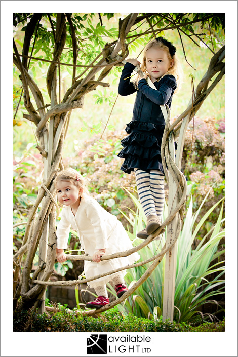 auckland family photographer