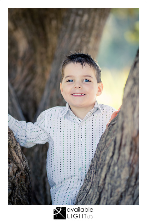 big brother in a tree north shore family photographer
