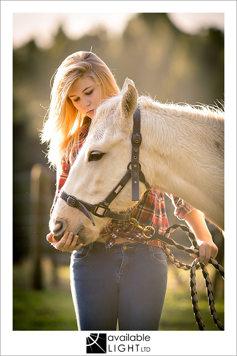 auckland animal portrait photographer