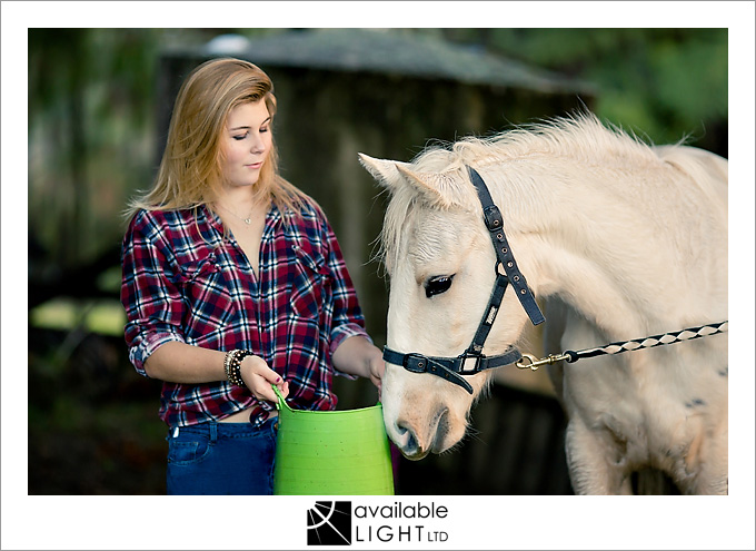 auckland animal portrait photographer