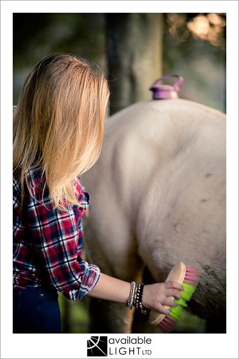 auckland animal portrait photographer