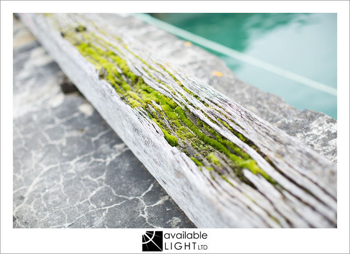 auckland lifestyle photographer