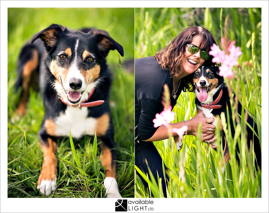 auckland pet portrait photographer