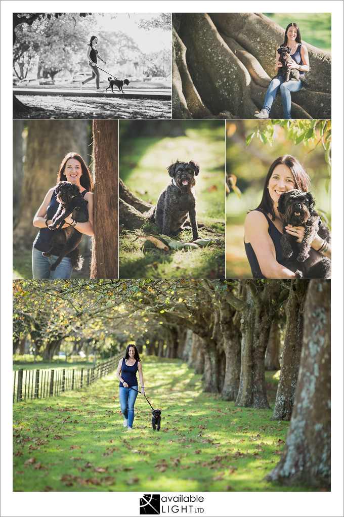 auckland pet portrait photography