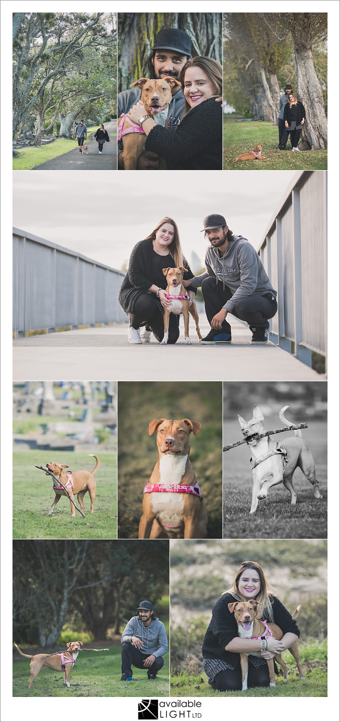 auckland lifestyle portrait photography