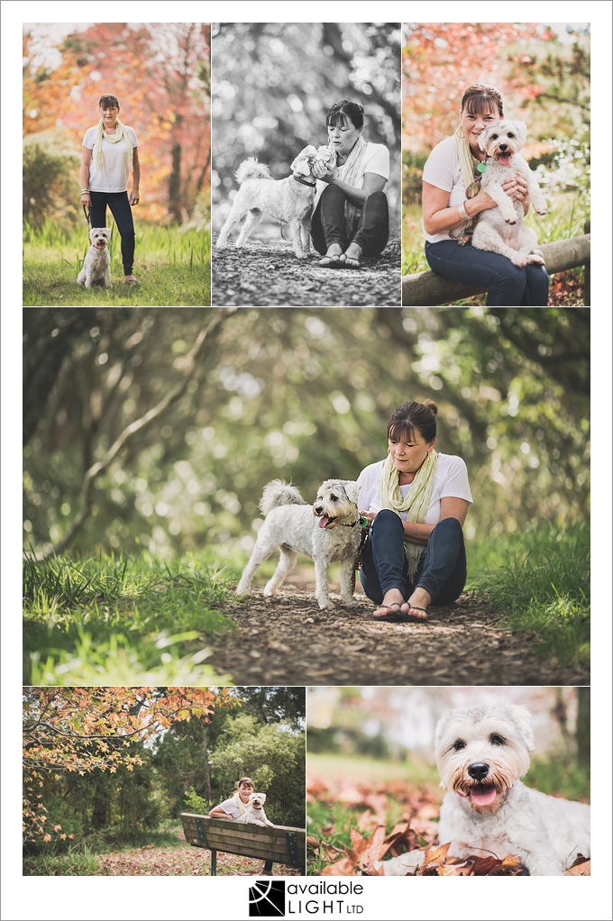 auckland pet portrait photography