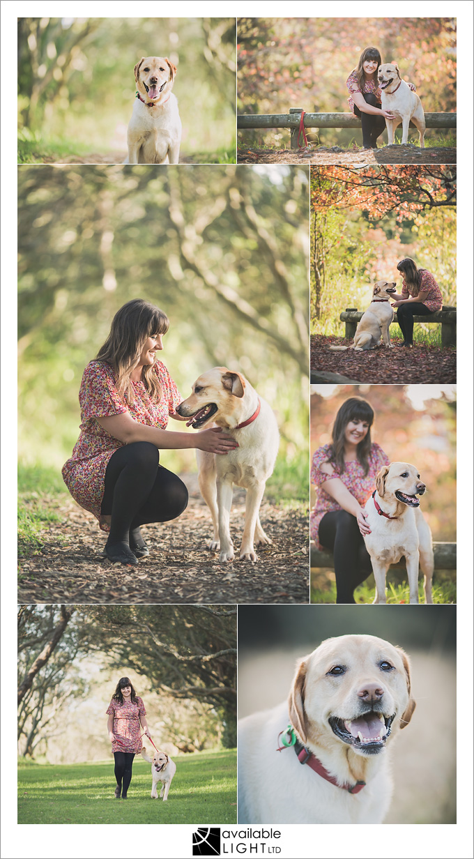 auckland pet portrait photography